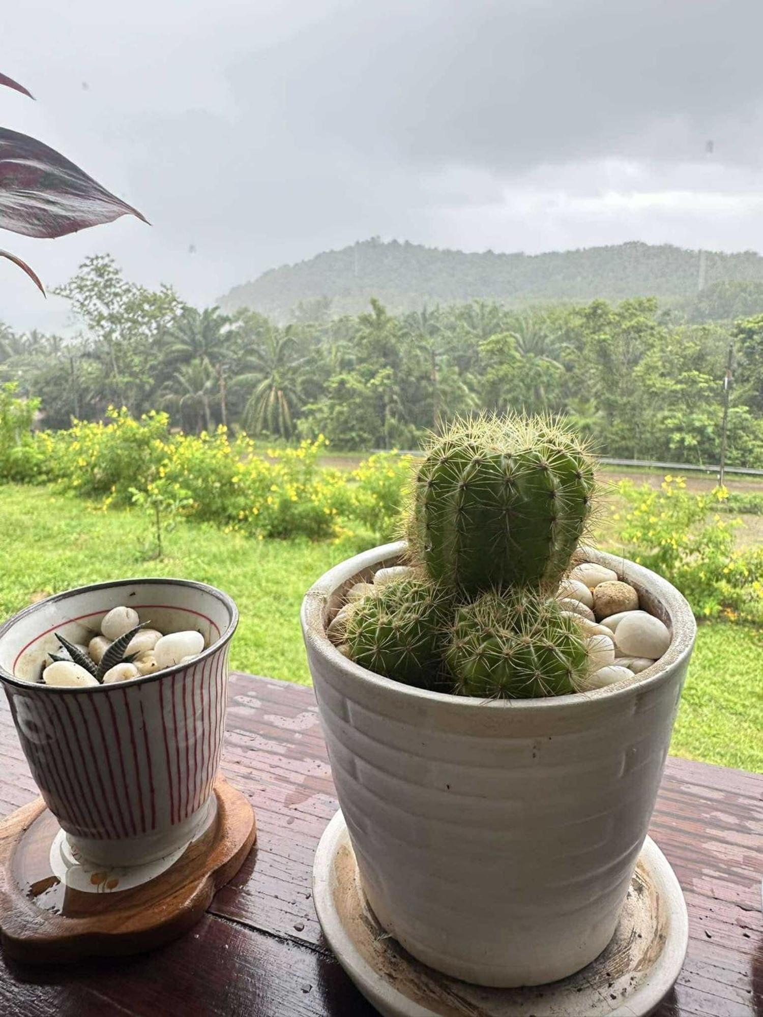 บ้านสวนปิยนันท์ 코야오노이 외부 사진